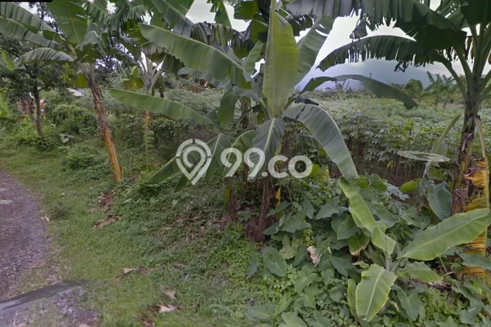 Dijual Tanah Lokasi Pakuan, Bogor Seluas 800m2 Dijual Tanah Lokasi Pakuan, Bogor Seluas 800m2