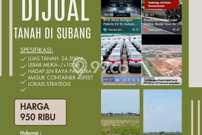 Lahan Investasi Lokasi Pamanukan Subang SHM Lahan Investasi Lokasi Pamanukan Subang SHM