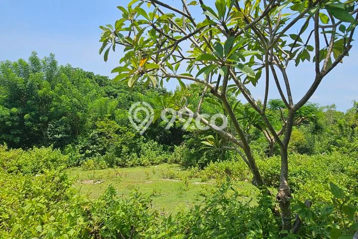 Lahan Dijual Lokasi Strategis di Badung dengan Luas 800m2 Lahan Dijual Lokasi Strategis di Badung dengan Luas 800m2