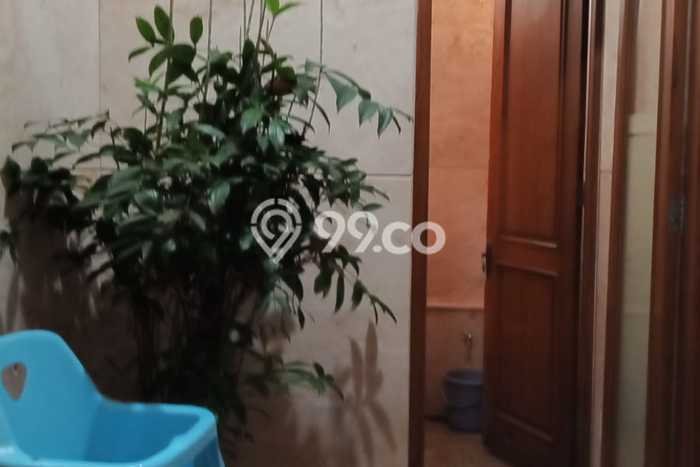 Paling Dicari! Ruko Dijual di Setiabudi Harga Kompetitif Paling Dicari! Ruko Dijual di Setiabudi Harga Kompetitif