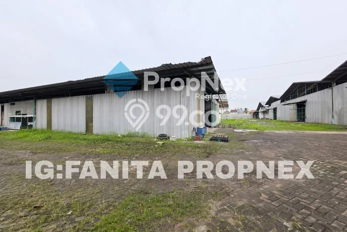Lokasi Strategis! Dijual Pabrik Bisnis di Mauk, Tangerang Kondisi Bagus Lokasi Strategis! Dijual Pabrik Bisnis di Mauk, Tangerang Kondisi Bagus