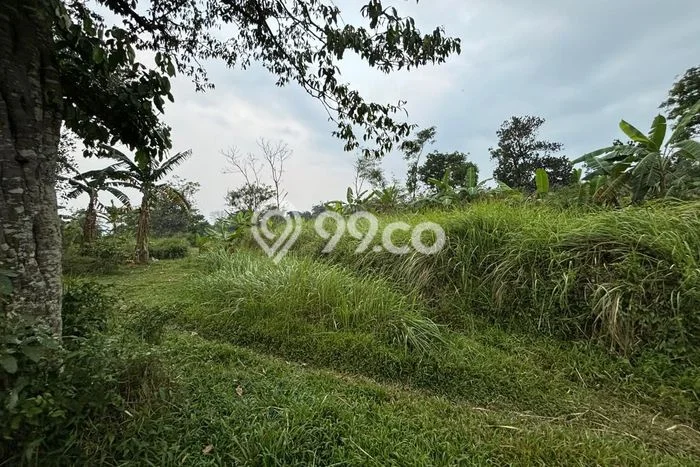 Tanah Dijual Lokasi Cihideung Tasikmalaya SHM Tanah Dijual Lokasi Cihideung Tasikmalaya SHM