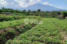 Tanah Kavling Dijual di Malang dengan Spesifikasi 1677m2 Tanah Kavling Dijual di Malang dengan Spesifikasi 1677m2