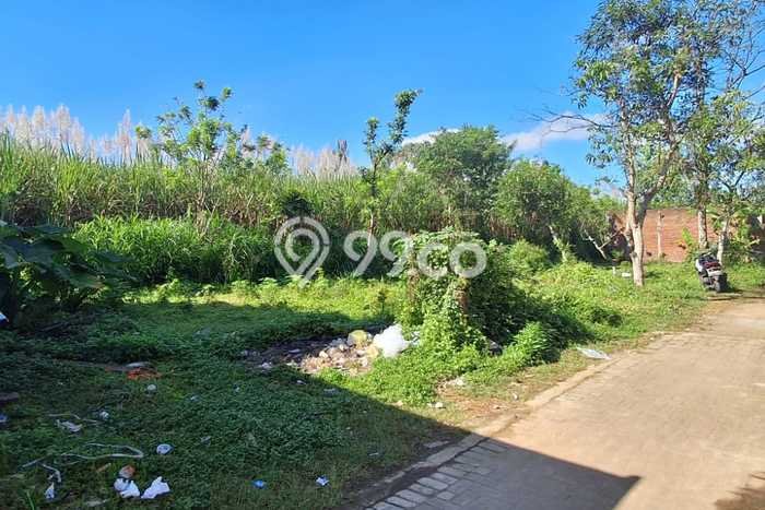 Tanah Investasi Dijual di Malang Punya Luas 98m2 Tanah Investasi Dijual di Malang Punya Luas 98m2