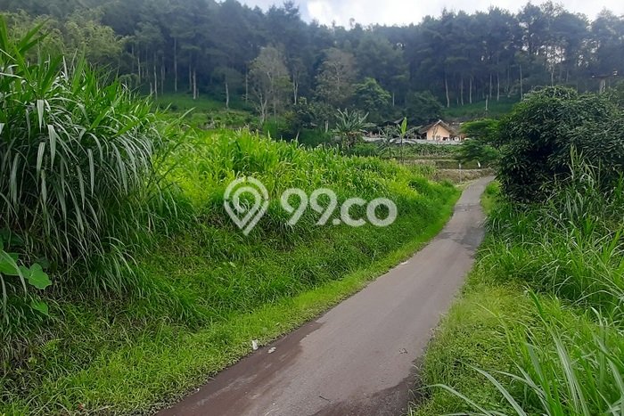 Untuk Dijual Tanah di Malang, Luas 1004m2 SHM Untuk Dijual Tanah di Malang, Luas 1004m2 SHM