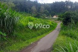 Untuk Dijual Tanah di Malang, Luas 1004m2 SHM Untuk Dijual Tanah di Malang, Luas 1004m2 SHM