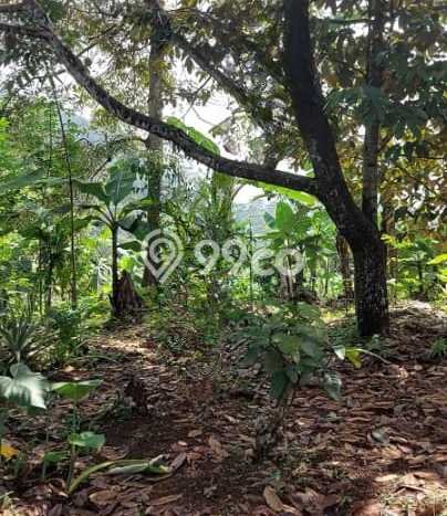 Tanah Siap Bangun Dijual di Bandung Punya Luas 4416m2 Tanah Siap Bangun Dijual di Bandung Punya Luas 4416m2