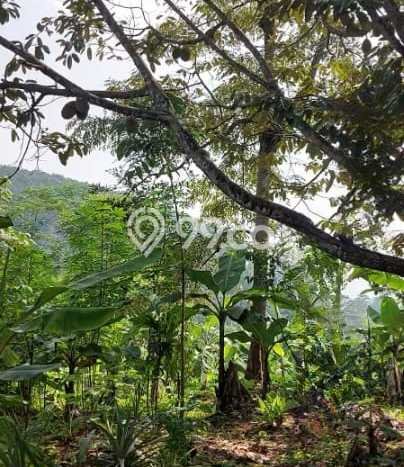 Tanah Siap Bangun Dijual di Bandung Punya Luas 4416m2 Tanah Siap Bangun Dijual di Bandung Punya Luas 4416m2