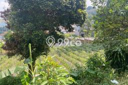 Tanah Kavling Disewakan di Ciumbuleuit dengan Luas 1500m2 Tanah Kavling Disewakan di Ciumbuleuit dengan Luas 1500m2