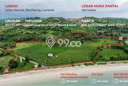 Tanah Dijual Lokasi Pujut, Lombok Tengah Luas 60773m2 Legalitas Aman Tanah Dijual Lokasi Pujut, Lombok Tengah Luas 60773m2 Legalitas Aman