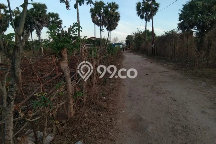 Tanah Strategis Dijual di Kupang Tengah Kupang 2609m2 Tanah Strategis Dijual di Kupang Tengah Kupang 2609m2