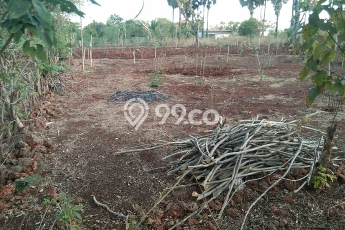 Tanah Strategis Dijual di Kupang Tengah Kupang 2609m2 Tanah Strategis Dijual di Kupang Tengah Kupang 2609m2