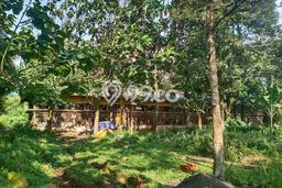 Tanah di Cijeruk, Bogor Luas 11591m2 Dijual Segera Tanah di Cijeruk, Bogor Luas 11591m2 Dijual Segera