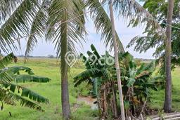 Tanah Kavling untuk Dijual di Mauk Tangerang 50000m2 Tanah Kavling untuk Dijual di Mauk Tangerang 50000m2