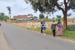 Lahan Dijual Lokasi Kandat, Kediri dengan Luas Tanah 5417m2 dan Status SHM Lahan Dijual Lokasi Kandat, Kediri dengan Luas Tanah 5417m2 dan Status SHM