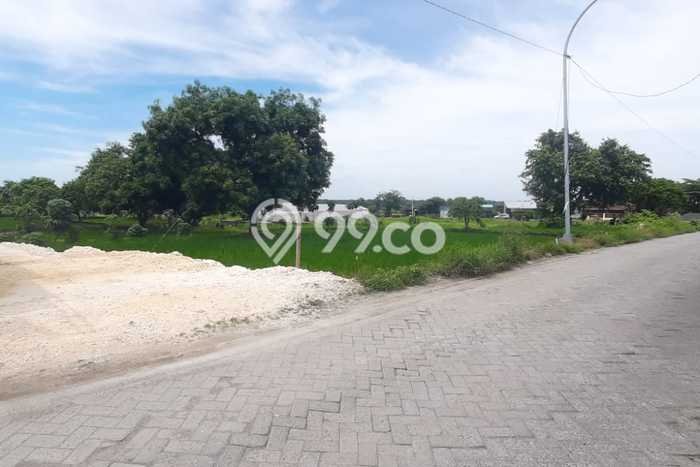 Kavling Tanah Dijual di Manyar Gresik Spesifikasi 105m2 Kavling Tanah Dijual di Manyar Gresik Spesifikasi 105m2