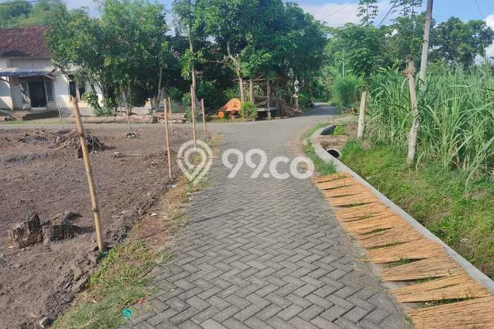 Lahan Investasi Lokasi Sumbergempol Tulungagung SHM Lahan Investasi Lokasi Sumbergempol Tulungagung SHM
