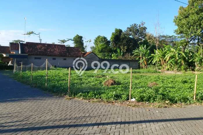 Lahan Investasi Lokasi Sumbergempol Tulungagung SHM Lahan Investasi Lokasi Sumbergempol Tulungagung SHM