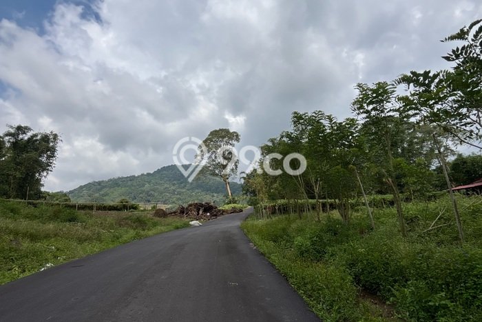 Tanah Dijual Lokasi Tomohon Barat, Tomohon dengan Luas Tanah 5000m2 dan Status SHM Tanah Dijual Lokasi Tomohon Barat, Tomohon dengan Luas Tanah 5000m2 dan Status SHM