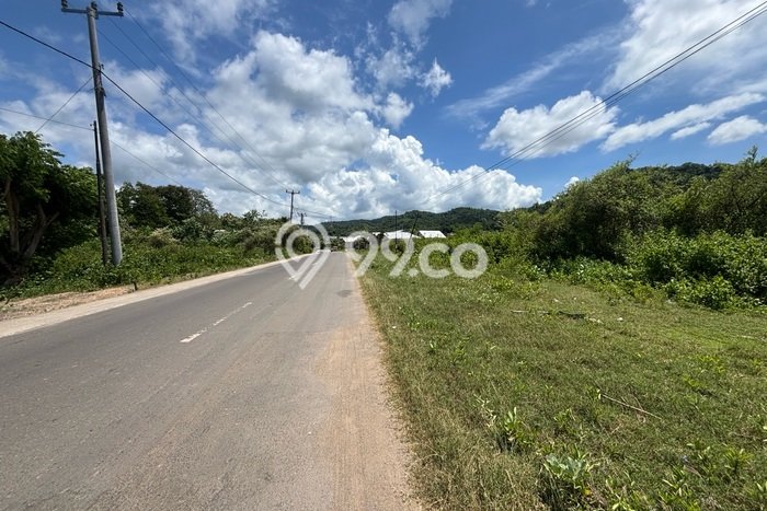 Tanah Kavling Dijual di Manggarai Barat dengan Spesifikasi 2000m2 Tanah Kavling Dijual di Manggarai Barat dengan Spesifikasi 2000m2