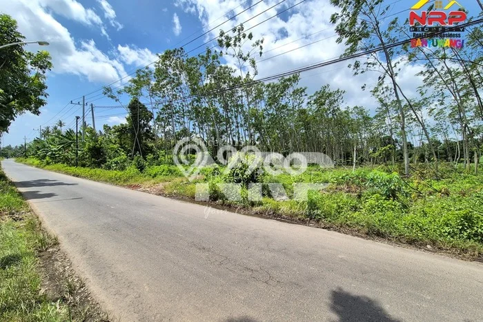 Tanah Kosong Dijual di Banyuwangi dengan Area 30300m2 Tanah Kosong Dijual di Banyuwangi dengan Area 30300m2