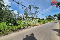 Tanah Kosong Dijual di Banyuwangi dengan Area 30300m2 Tanah Kosong Dijual di Banyuwangi dengan Area 30300m2
