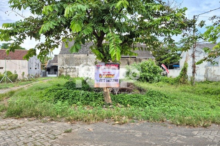 Untuk Dijual Tanah di Banyuwangi Banyuwangi Luas 130m2 SHM Untuk Dijual Tanah di Banyuwangi Banyuwangi Luas 130m2 SHM