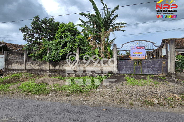 Tanah Dijual di Jembrana Seluas 779m2 Strategis Tanah Dijual di Jembrana Seluas 779m2 Strategis