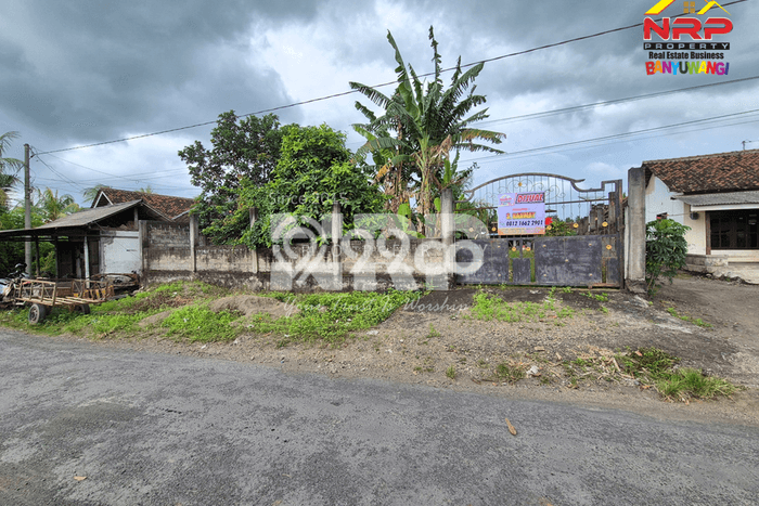 Tanah Dijual di Jembrana Seluas 779m2 Strategis Tanah Dijual di Jembrana Seluas 779m2 Strategis