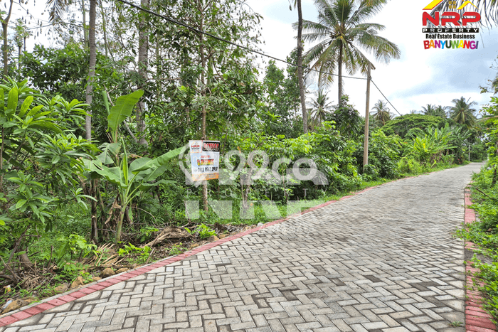 Tanah untuk Dijual di Banyuwangi Banyuwangi Luas 730m2 Tanah untuk Dijual di Banyuwangi Banyuwangi Luas 730m2