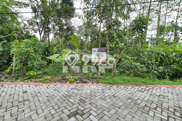 Tanah untuk Dijual di Banyuwangi Banyuwangi Luas 730m2 Tanah untuk Dijual di Banyuwangi Banyuwangi Luas 730m2