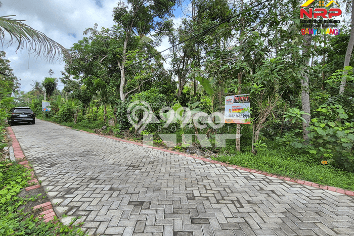 Tanah untuk Dijual di Banyuwangi Banyuwangi Luas 730m2 Tanah untuk Dijual di Banyuwangi Banyuwangi Luas 730m2