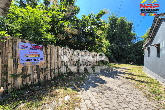 Tanah untuk Dijual di Kalipuro Banyuwangi Luas 1375m2 Tanah untuk Dijual di Kalipuro Banyuwangi Luas 1375m2