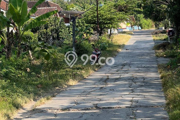 Kavling Tanah di Nogosari Dijual Luas 980m2 Legalitas SHM Kavling Tanah di Nogosari Dijual Luas 980m2 Legalitas SHM