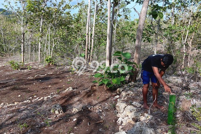 Kavling Tanah di Pracimantoro Dijual Luas 3358m2 Legalitas SHM Kavling Tanah di Pracimantoro Dijual Luas 3358m2 Legalitas SHM