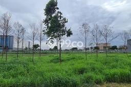 Tanah Dijual Area Strategis di Pantai Indah Kapuk 2 Jakarta Utara 1926m2 Tanah Dijual Area Strategis di Pantai Indah Kapuk 2 Jakarta Utara 1926m2
