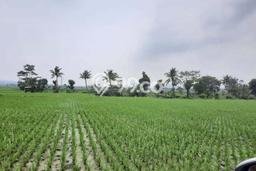 Tanah di Padalarang, Bandung Barat Luas 40000m2 Dijual Segera Tanah di Padalarang, Bandung Barat Luas 40000m2 Dijual Segera