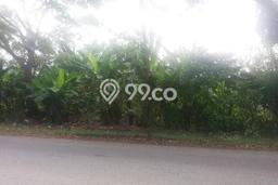 Kavling Tanah di Cianjur Dijual Luas 18769m2 Legalitas SHM Kavling Tanah di Cianjur Dijual Luas 18769m2 Legalitas SHM