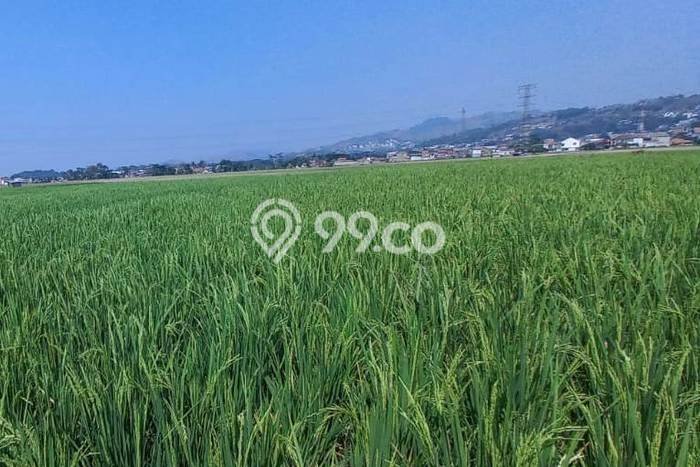 Kavling Tanah Dijual di Padalarang, Bandung Barat, Luas 3645m2 Area Strategis Kavling Tanah Dijual di Padalarang, Bandung Barat, Luas 3645m2 Area Strategis