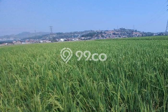 Kavling Tanah Dijual di Padalarang, Bandung Barat, Luas 3645m2 Area Strategis Kavling Tanah Dijual di Padalarang, Bandung Barat, Luas 3645m2 Area Strategis