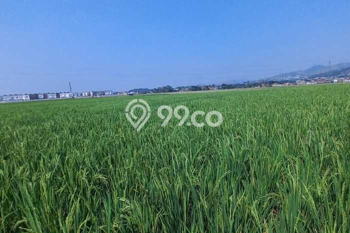 Kavling Tanah Dijual di Padalarang, Bandung Barat, Luas 3645m2 Area Strategis Kavling Tanah Dijual di Padalarang, Bandung Barat, Luas 3645m2 Area Strategis