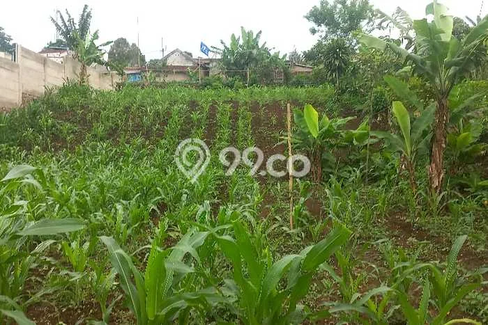 Tanah Kavling di Ngamprah Dijual dengan Luas 649m2 Tanah Kavling di Ngamprah Dijual dengan Luas 649m2