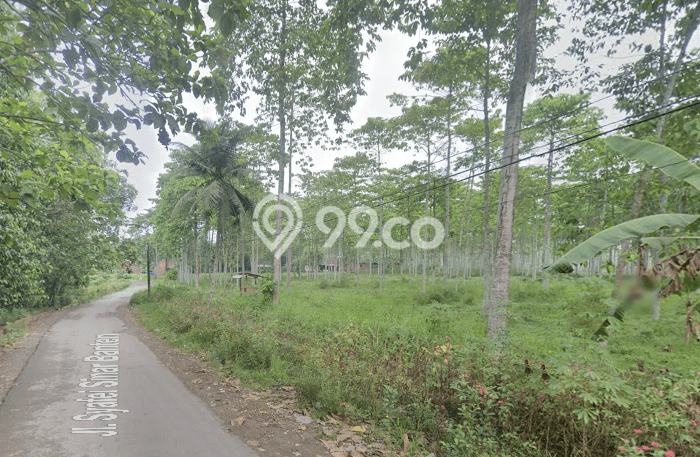 Tanah Strategis di Natar, Luas 7.273e+08m², Akses Natar, Lampung Selatan, Lampung Selatan Tanah Strategis di Natar, Luas 7.273e+08m², Akses Natar, Lampung Selatan, Lampung Selatan