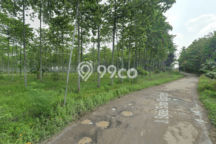 Tanah Strategis di Natar, Luas 7.273e+08m², Akses Natar, Lampung Selatan, Lampung Selatan Tanah Strategis di Natar, Luas 7.273e+08m², Akses Natar, Lampung Selatan, Lampung Selatan