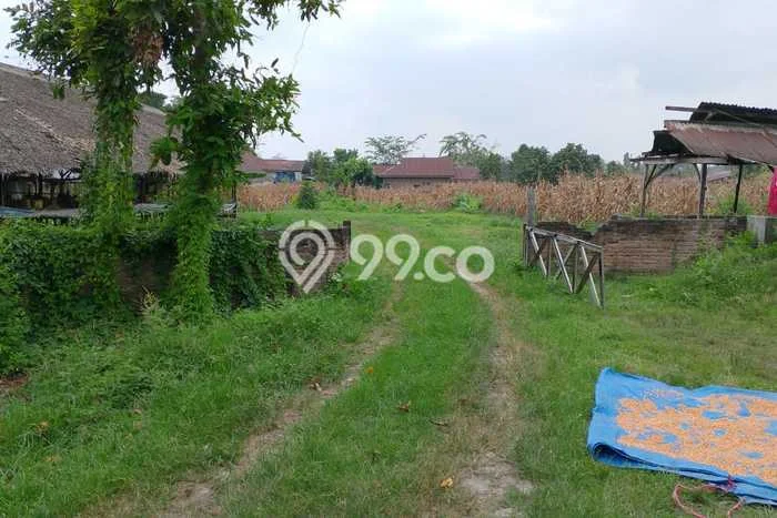Lahan Dijual Lokasi Tanjung Morawa, Deli Serdang dengan Luas Tanah 12400m2 dan Status - Lahan Dijual Lokasi Tanjung Morawa, Deli Serdang dengan Luas Tanah 12400m2 dan Status -