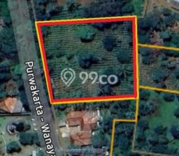 Kavling Tanah di Wanayasa Dijual Luas 2924m2 Legalitas SHM Kavling Tanah di Wanayasa Dijual Luas 2924m2 Legalitas SHM