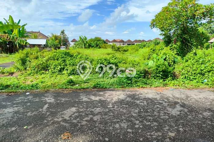 Tanah Kavling Dijual di Kedungu, Tabanan dengan Luas Tanah 3400m2 Tanah Kavling Dijual di Kedungu, Tabanan dengan Luas Tanah 3400m2