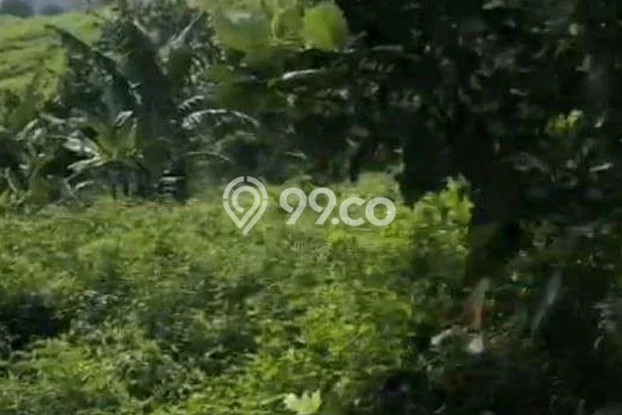 Tanah Dijual Area Strategis di Sentul City Bogor 1e+06m2 Tanah Dijual Area Strategis di Sentul City Bogor 1e+06m2