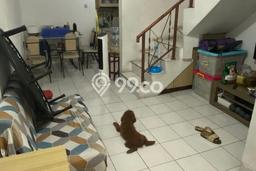 Rumah Minimalis 2 Kamar LT 46m2 di Taman Palem Rumah Minimalis 2 Kamar LT 46m2 di Taman Palem