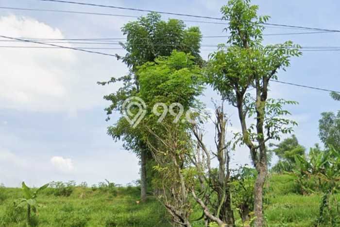 Tanah Area Berkembang di Prigen, Luas 2229m2m², Dekat ke Fasilitas Tanah Area Berkembang di Prigen, Luas 2229m2m², Dekat ke Fasilitas